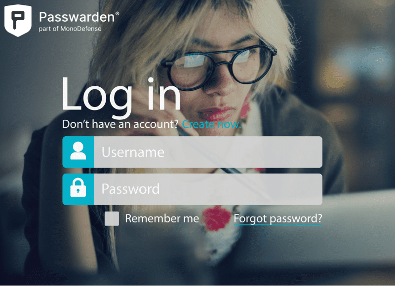 Are Password Managers Safe? Security of Different Password Managers
